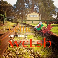 Platform 9 ¾ - Celtic But Mainly Welsh