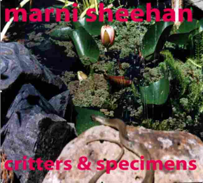 Marni Sheehan - Critters & Specimens